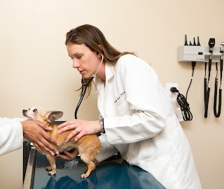 Leesburg Veterinary Hospital, A Thrive Pet Healthcare Partner