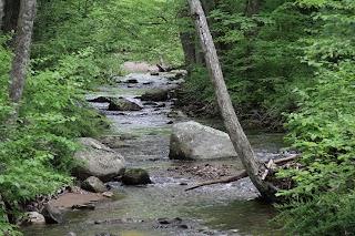 Laughing Brook Wildlife Sanctuary