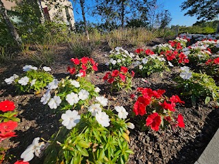 Sacred Heart University Center for Healthcare Education