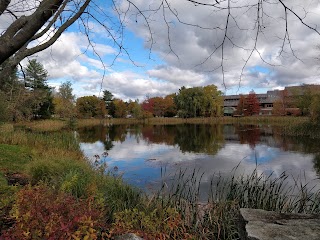 Bates College