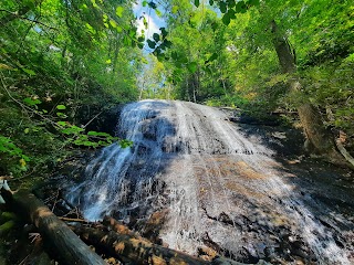 Log Hollow & Discovery Falls Trailhead