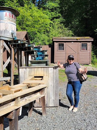 Riverdance on the Toccoa Cabin