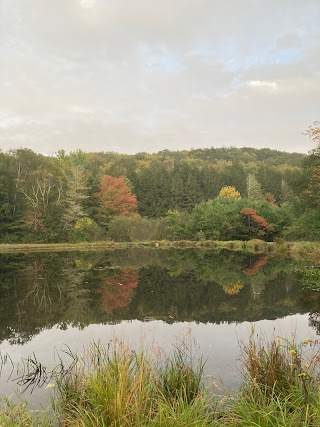 John A Minetto State Park