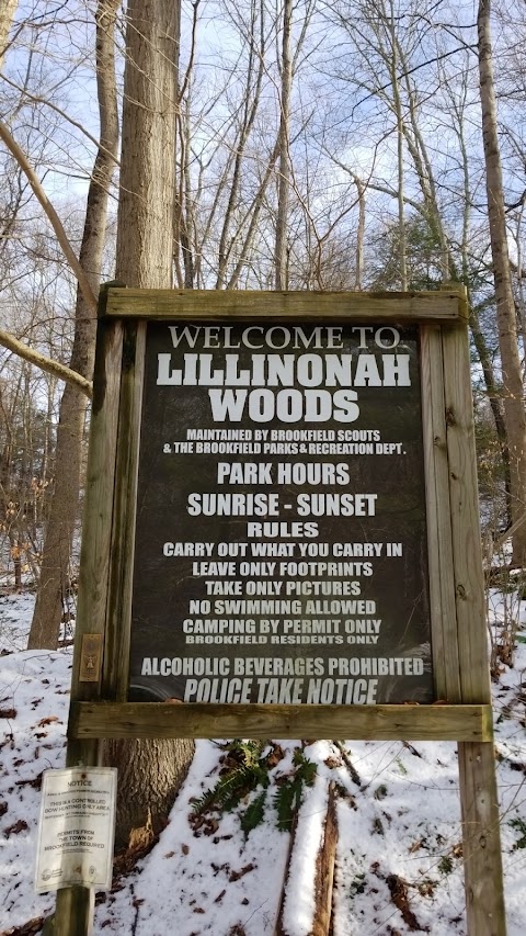 Lillinnoah Woods Open Space