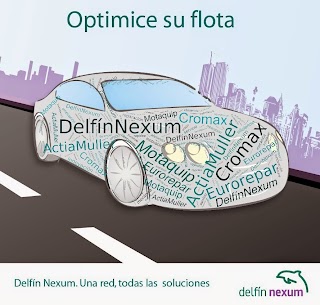 Delfín Nexum