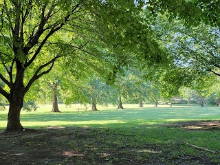 Maple Hills Park