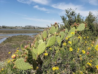 Upper Newport Bay Nature Preserve