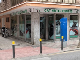 HOTEL DE GATOS PONTES Cat hotel Pontes