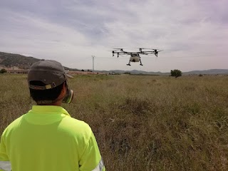 Empresa de Control de Plagas - Lokimica S.A.U. Delegación Castellón