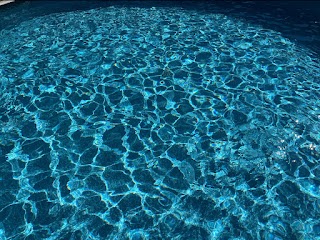 Clear Blue Pool Service