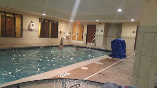 Holiday Inn Express & Suites Chicago South Lansing