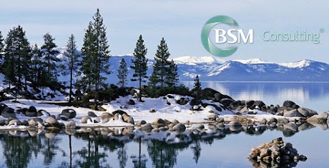 BSM Consulting