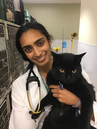 Colorado State University Veterinary Teaching Hospital