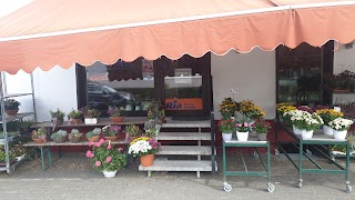 Robby´s Blumenshop - Robbys Blumengeschäft - Blumen in Frankenberg