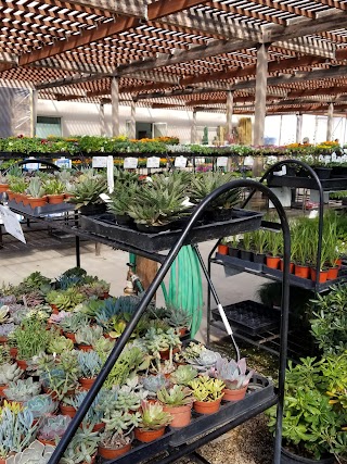 Star Nursery Garden and Rock Centers