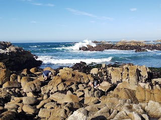 Asilomar State Beach