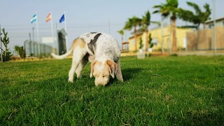 Residencia Canina Mascotas Nazarenas