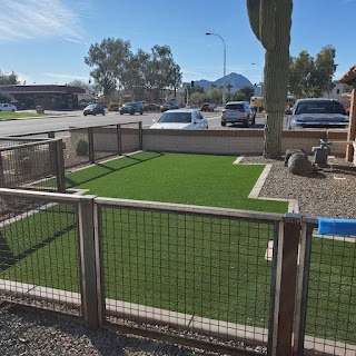 Saguaro Veterinary Clinic