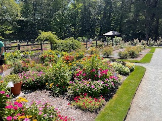 Reynolda Gardens-Wake Forest