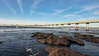 Ocean Beach Tide Pools