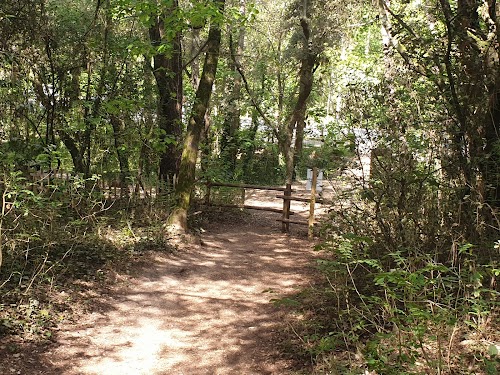 Forêt de La Baule Escoublac
