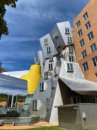 Massachusetts Institute of Technology