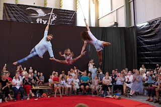 Fly - Zirkus Trainingszentrum