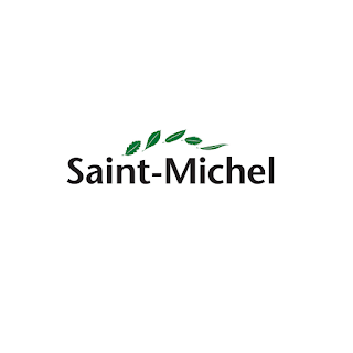 Saint Michel Education