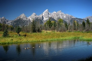 Schwabacher Landing