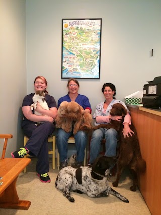 South Bay Veterinary Clinic