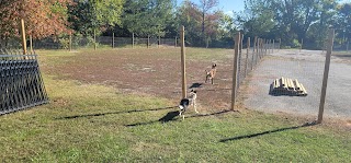 Inside Out Dog Daycare & Training