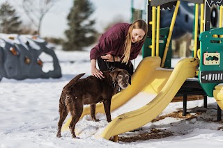 Trifecta Dog Training