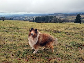 Ferienhaus Naturliebe: Ferienhaus mit Hund mieten in Alleinlage am Wald mit Sauna, Kamin, in Vogelsberg, Hessen, Deutschland