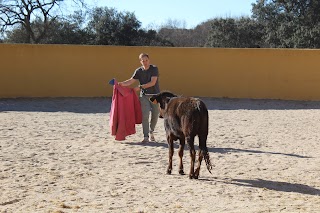 Finca El Pino Capeas en Madrid