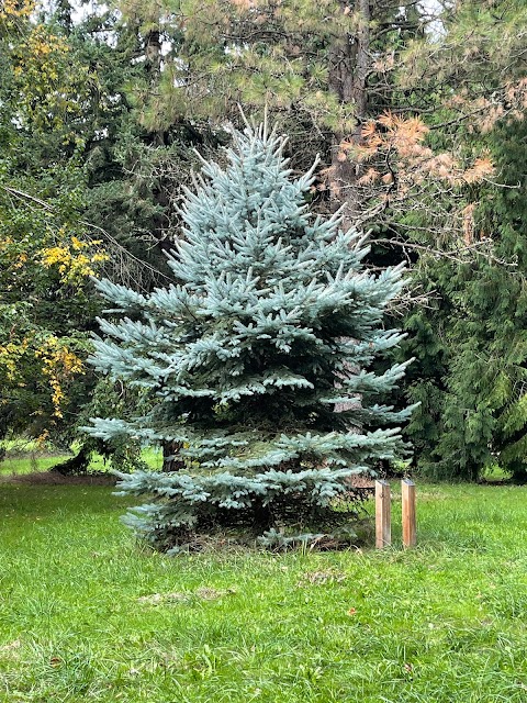 Columbia Children's Arboretum