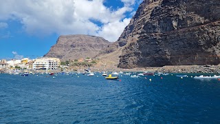 Observación de Aves en la Playa de Vueltas