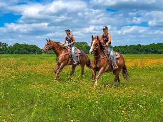 Benbrook Stables