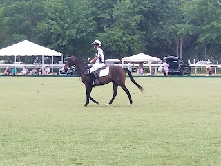 Aiken Polo Club