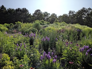 Children's Garden at Fort Williams Park