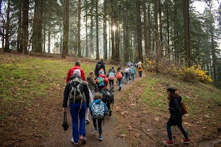 French International School of Oregon