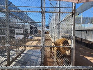 Lion Habitat Ranch inc