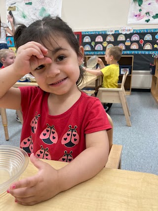 Astor Head Start & Specialties Education