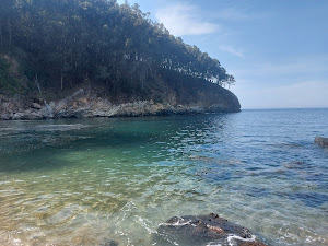 Playa de Vidueiros