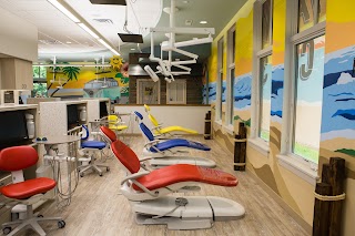 The Children's Dental Center