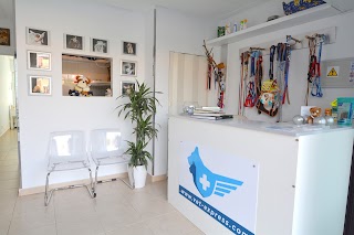 Vet Express Centro Veterinario