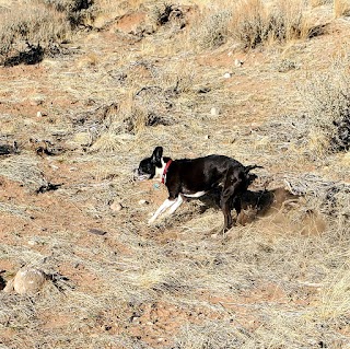 Gizmo's Dog Park