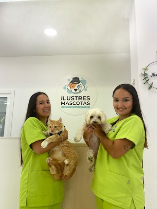 Clínica Veterinaria Ilustres Mascotas