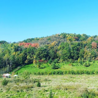 Flower Valley Orchard