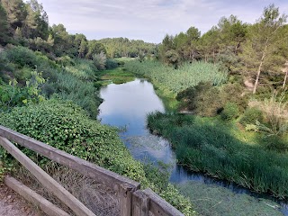 La Cueva Negra