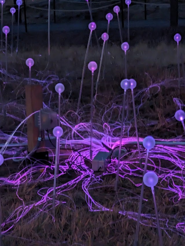 Field of Light at Freedom Plaza